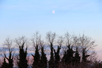 IMG_5900