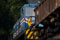 C19A5095