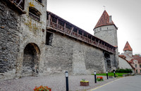 Tallin 6b
