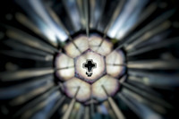 1000040492 (1)