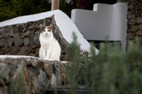 1Z6A0175