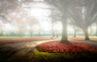 GA7A7222-Edit-Edit-Edit-1