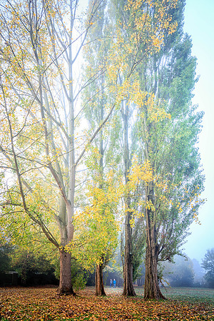 GA7A7298-Edit-Edit-1